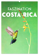 Faszination Costa Rica (Wandkalender 2025 DIN A2 hoch), CALVENDO Monatskalender