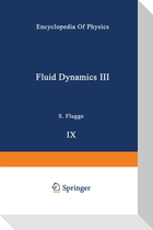 Fluid Dynamics / Strömungsmechanik