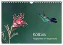 Kolibris - Flugkünstler im Regenwald (Wandkalender 2024 DIN A4 quer), CALVENDO Monatskalender
