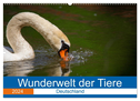 Wunderwelt der Tiere - Deutschland (Wandkalender 2024 DIN A2 quer), CALVENDO Monatskalender