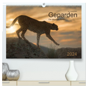 Geparden. Die eleganten Katzen. (hochwertiger Premium Wandkalender 2024 DIN A2 quer), Kunstdruck in Hochglanz