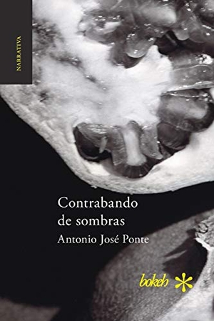 Ponte, Antonio José. Contrabando de sombras. Bokeh, 2018.