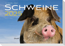 Schweine Kalender 2025