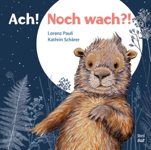 Pauli, Lorenz. Ach! Noch wach?!. NordSüd Verlag AG, 2026.