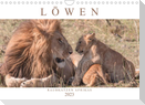 Löwen - Raubkatzen Afrikas (Wandkalender 2023 DIN A4 quer)