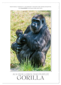 Emotionale Momente: Aus dem Leben der Familie Gorilla. / CH-Version (Wandkalender 2024 DIN A2 hoch), CALVENDO Monatskalender