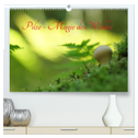 Pilze - Magie des Waldes (hochwertiger Premium Wandkalender 2024 DIN A2 quer), Kunstdruck in Hochglanz