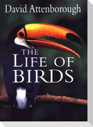 The Life of Birds