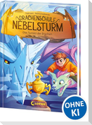 Drachenschule Nebelsturm (Band 3) - Das Turnier der Drachen