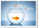Goldy - mein Goldfisch (Wandkalender 2024 DIN A3 quer), CALVENDO Monatskalender