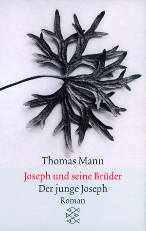 Mann, Thomas. Joseph und seine Brüder II. Der junge Joseph. FISCHER Taschenbuch, 1991.