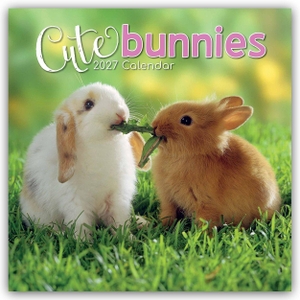 Gifted Stationery Co. Ltd. Cute Bunnies - Niedliche Kaninchen 2027 - 16-Monatskalender - Original Gifted Stationery-Kalender [Mehrsprachig] [Kalender]. Browntrout Verlags GmbH, 2026.
