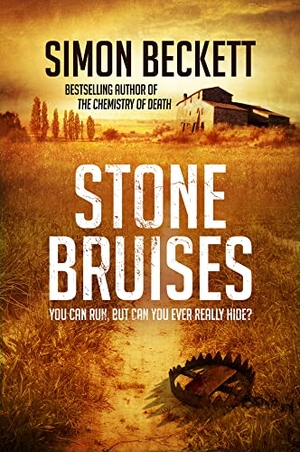 Beckett, Simon. Stone Bruises. DK, 2014.