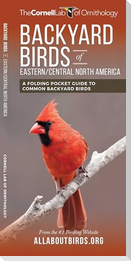 Backyard Birds of Eastern/Central North America
