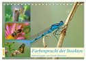 Farbenpracht der Insekten (Tischkalender 2025 DIN A5 quer), CALVENDO Monatskalender