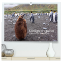 Königspinguine - zu Besuch auf Südgeorgien (hochwertiger Premium Wandkalender 2025 DIN A2 quer), Kunstdruck in Hochglanz