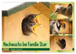 Hultsch, Heike. Nachwuchs bei Familie Star (Wandkalender 2024 DIN A2 quer), CALVENDO Monatskalender - Brutzeit der Stare. Calvendo, 2023.