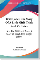 Brave Janet, The Story Of A Little Girl's Trials And Victories