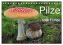 Pilze - tolle Funde (Tischkalender 2025 DIN A5 quer), CALVENDO Monatskalender