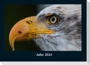 Adler 2024 Fotokalender DIN A4