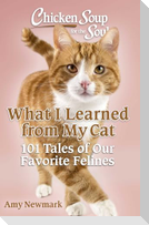 Chicken Soup for the Soul: What I Learned from My Cat