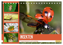 Insekten. Faszinierend und wichtig (Tischkalender 2024 DIN A5 quer), CALVENDO Monatskalender