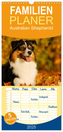 Familienplaner 2025 - Bekannt wie ein bunter Hund. Australian Shepherd mit 5 Spalten (Wandkalender, 21 x 45 cm) CALVENDO