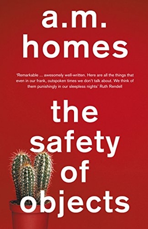 Homes, A. M.. The Safety Of Objects. Granta Books, 2013.