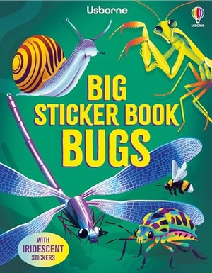 James, Alice. Big Sticker Book Bugs. Usborne Books, 2026.