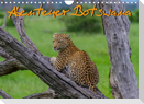 Abenteuer Botswana Afrika - Adventure Botswana (Wandkalender 2022 DIN A4 quer)