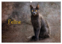 Feline (Wandkalender 2025 DIN A2 quer), CALVENDO Monatskalender