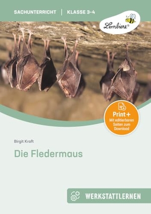 Kraft, Birgit. Die Fledermaus (Set) - Grundschule, Sachunterricht, Klasse 3-4. Lernbiene Verlag i.d. AAP, 2016.