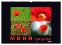 MOHNographie (Wandkalender 2025 DIN A2 quer), CALVENDO Monatskalender