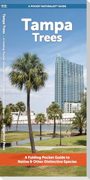 Tampa Trees