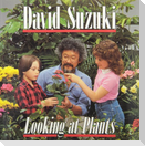 Looking at Plants