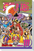 One Piece, Vol. 111