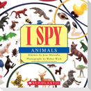 I Spy Animals
