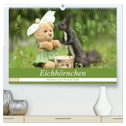 Eichhörnchen - Abenteuer mit Freund Teddy (hochwertiger Premium Wandkalender 2025 DIN A2 quer), Kunstdruck in Hochglanz
