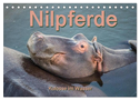 Nilpferde, Kolosse im Wasser (Tischkalender 2024 DIN A5 quer), CALVENDO Monatskalender