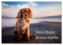 Dein Hund der treue Begleiter (Wandkalender 2024 DIN A3 quer), CALVENDO Monatskalender