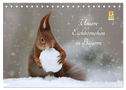 Unsere Eichhörnchen in Bayern (Tischkalender 2025 DIN A5 quer), CALVENDO Monatskalender