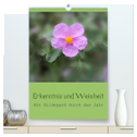 Erkenntnis und Weisheit - Hildegard von Bingen (hochwertiger Premium Wandkalender 2024 DIN A2 hoch), Kunstdruck in Hochglanz