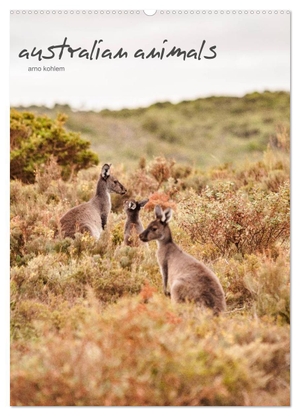 Kohlem, Arno. australian animals (Wandkalender 2024 DIN A2 hoch), CALVENDO Monatskalender - Die Tierwelt Australiens. Calvendo Verlag, 2023.