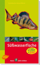 Steinbachs Naturführer Süßwasserfische