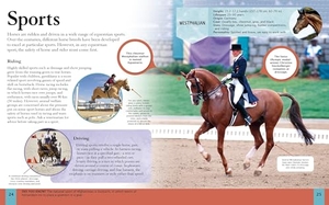 Martin, Claudia. Children's Encyclopedia of Horses. Arcturus Publishing Ltd, 2026.