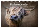 Hochlandrinder - Zottelige Schönheiten (Wandkalender 2024 DIN A3 quer), CALVENDO Monatskalender
