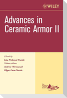 Ceramic Armor CESP V27 Is7