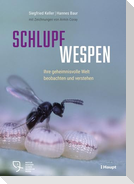 Schlupfwespen
