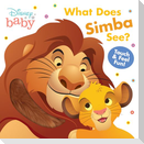 Disney Baby: What Does Simba See?