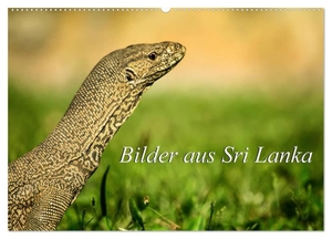 Ziemer, Astrid. Bilder aus Sri Lanka (Wandkalender 2024 DIN A2 quer), CALVENDO Monatskalender - Eine kleine Reise durch das schöne Land Sri Lanka.. Calvendo, 2023.
